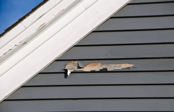 Best Weatherproofing and Sealing  in Picnic Point, WA